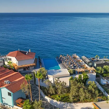 Ada Port Adults Only * 알란야